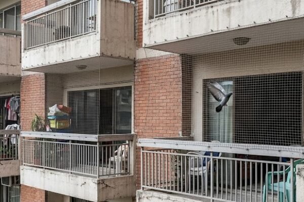 Bird Net Installation in Zirakpur — Complete Guide for Homeowners