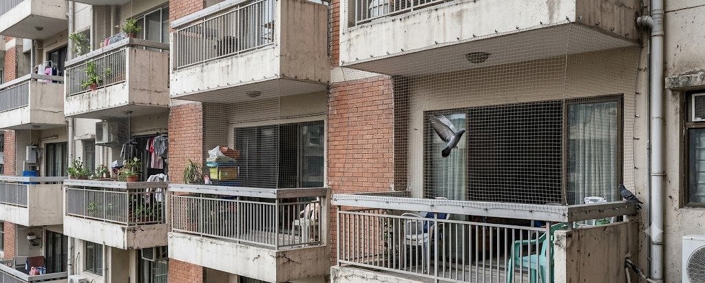 Bird Net Installation in Zirakpur — Complete Guide for Homeowners