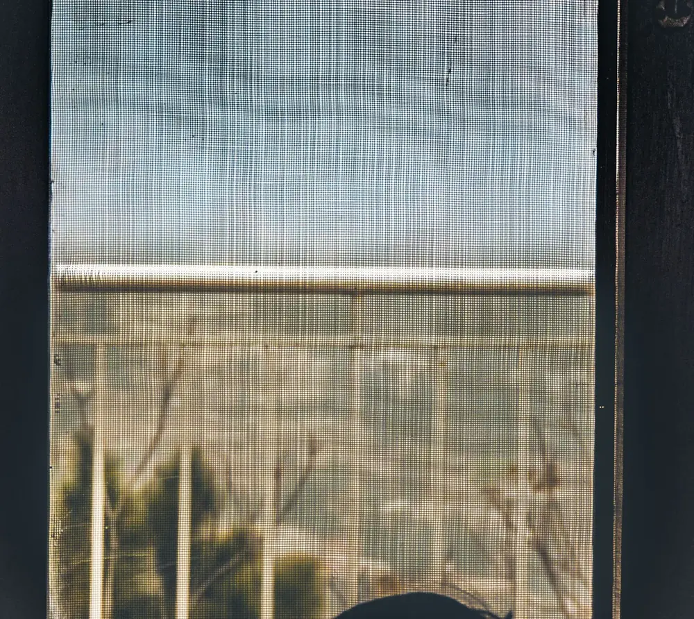 Fine mesh mosquito net fitted on a window frame with the garden visible behind