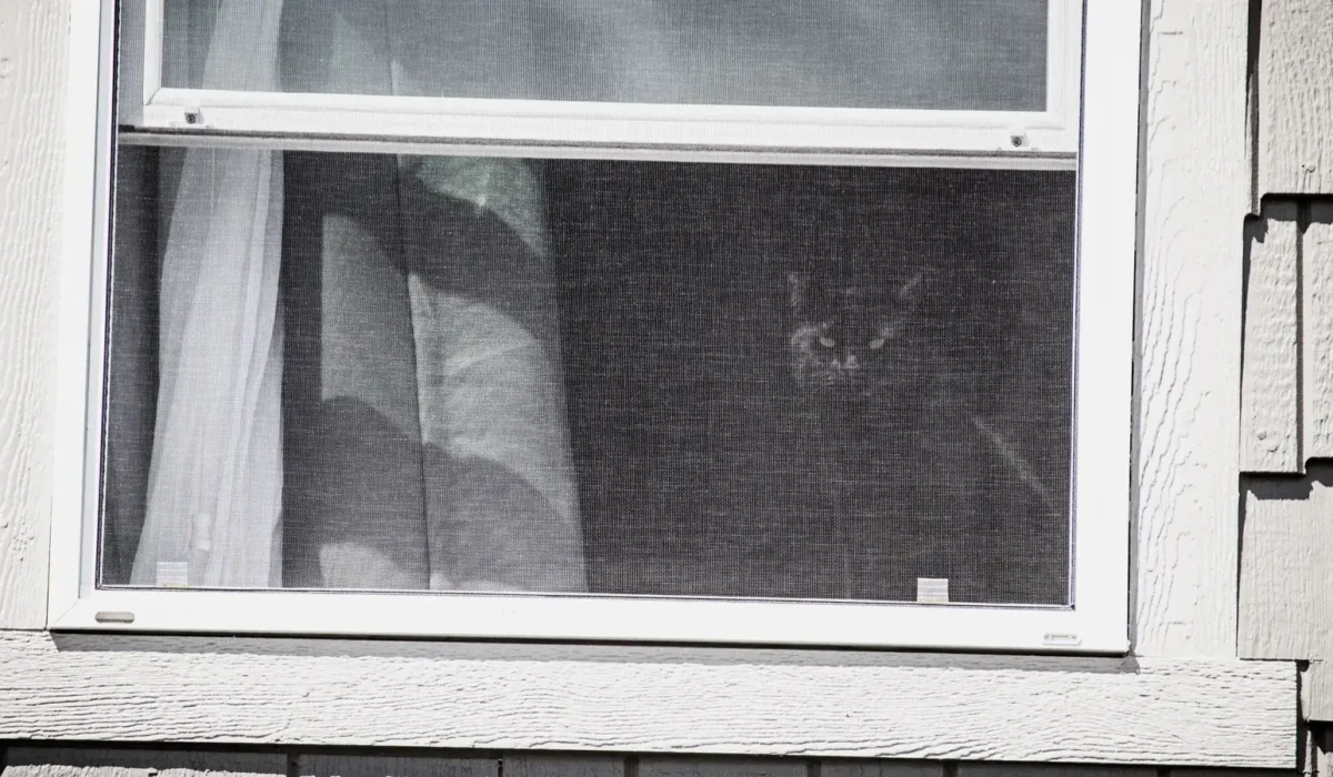 Mosquito Net for Windows: Types, Mesh and Buying Guide