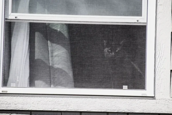 House window fitted with a fine mosquito net for windows, seen from outside